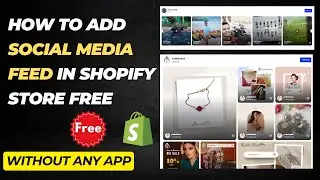 How to add Instagram Post Feed In Shopify Website Free Without Any App - DevDesire