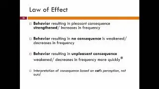 Behavior Modifications for Cats: 6. Operant Conditioning - class