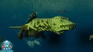 Taming The Modded Dino The Nothosaurus | ARK The Center EP 10
