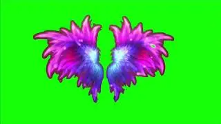Green Screen Fairy Wings