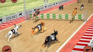 🐶 DOG RACE CHAMPIONSHIP 2025 &ndash; Fastest Dogs Ever! 😳🔥