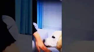 #January #2026#viral #comedy #reel #haryanvi #funny #shorts #video #freindship #family #couple #vlog