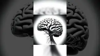 The human brain recognized food in the field of vision in 108 milliseconds