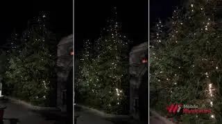 Mobile Illumination Firefly Lighting