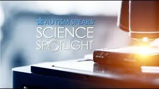 Science Spotlight | 2019 in Review
