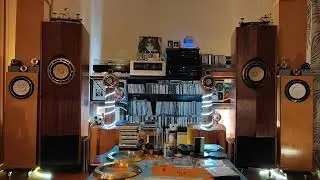 工芸スーパースワン（FOSTEX FE88sol）曲エバーハルト・ウェーバー／ペンジュラムのデリリウム