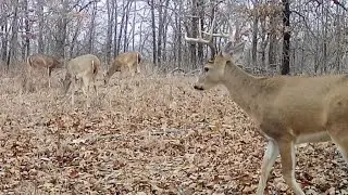When you pick the wrong stand. 6 bucks shows up at the same time.