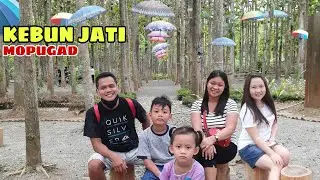 WISATA KEBUN JATI MOPUGAD SELATAN | DUMOGA DESTINASI AUTO MANTUL