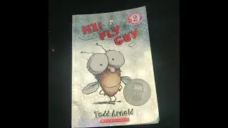 Hi! Fly Guy