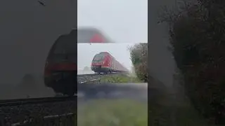 Baureihe 430 taucht im Nebel auf