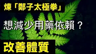 台灣適中太極學院￼『太極 ☯️太極拳』陳適當師父：教學直播2026· 1· 20星期二