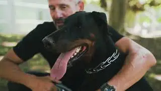 THE 7 MOST POTENTIALLY DANGEROUS DOG BREEDS IN THE WORLD