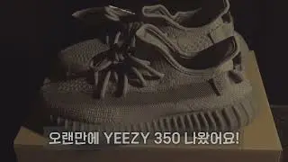 아디다스 이지부스트 350 V2 스틸 그레이 /Adidas Yeezy Boost 350 V2 Steel Grey  review