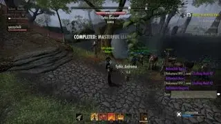 ESO Lag: Button Input lag out causing unwanted results