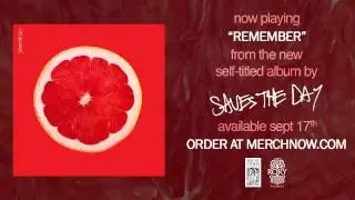 Saves The Day 