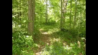 Lots And Land for sale - W Birchview Dr., Sanford, MI 48657