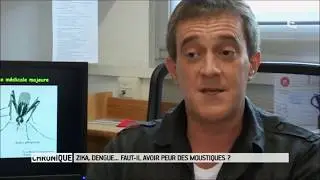 Worldwide Insecticide resistance Network on France 5 - Magasine de la Sant&eacute;