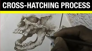 Cross Hatching Process | Dip Pen Portrait Study I