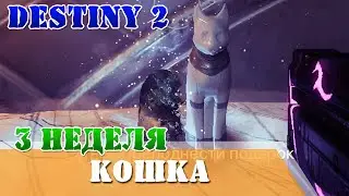 Звездная кошка зала Скрежета Третья неделя Destiny 2 триумф
