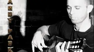 Randy Parks Solo Bass Player Performing at Fundraiser