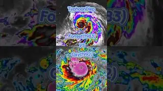 Typhoon Forrest(1983) VS Typhoon Gay(1992) #shorts #Typhoon #Debater #Diep