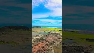 Live Waves #live #livestream #livevertical #wavesplanet #livestream
