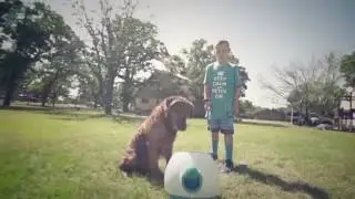 iFetch Too Interactive Dog Ball Launcher