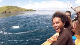 The Jetlagged - Wunderpus Komodo Promo Video