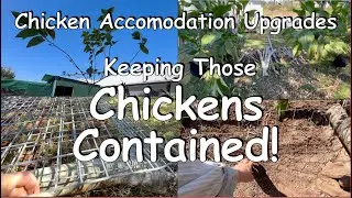 Chicken Accomodations Upgrade