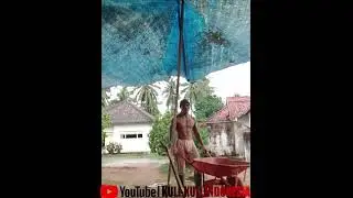 Hot Sixpack Muscular Construction Worker | Kuli Bangunan Kekar Berotot Sixpack Mantap Banget Badanya