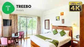 DIY Travel Reviews - Treebo Hotels: India's Top Budget Hotels