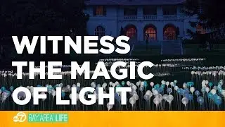 Witness the magic of light at Montalvo Arts Center