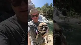 Zoey the French Bulldog&rsquo;s Crystal Creek Falls Adventure &ndash; Exploring the Falls!