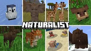 Naturalist 26.1 - All Baby Mobs | Minecraft Bedrock Add-on (PC, PS4, Mobile)