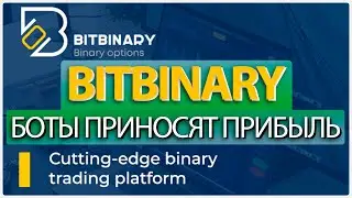 🤖 Bitbinary: боты приносят прибыль