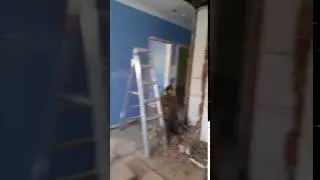 Commercial Renovation E19 carefully removing bricks