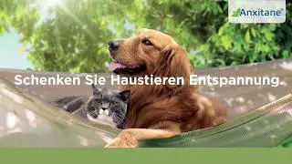 Anxitane: Schenken Sie Haustieren ein entspanntes Leben!
