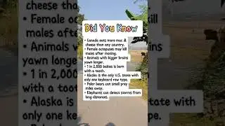 Unusual Global Animal Facts #fa