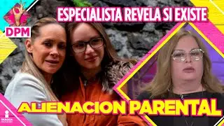 Perito en psicología analiza el caso de Héctor N, ¿hay alienación parental? | De Primera Mano