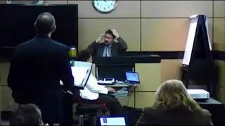Dadi Holtzheimer Testimony AMFS