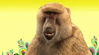 Animal Songs  Ba Ba Baboon, by StoryBots