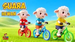 Suara hewa -hewan 🔴LIVE I Ayam piyik - piyik & lainya | KLUTUK KIDS | Bahasa Indonesia