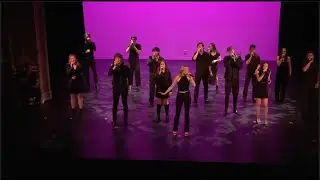 Make You Feel My Love (opb. Adele) - The Echoes a Capella