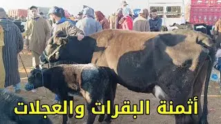 أثمنة البقرات الوالدات والضارات والعجلات كسابية والتسمين في سوق أربعاء مكناس 18/12/2024 فرجة ممتعة
