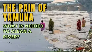 The Plight of Yamuna: How to Save Delhi&rsquo;s Toxic River