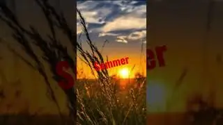 Seasons! #Season #Spring #Summer #Autumn #Winter