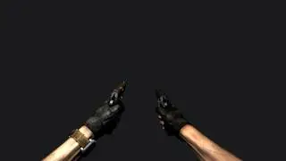 {3DS Max} CZ75 Dual-Wield animation reel.