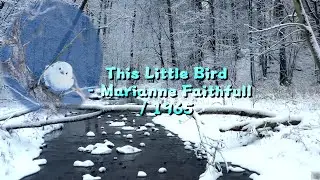 This Little Bird - Marianne Faithfull / 1965 (Lyrics/한글자막)