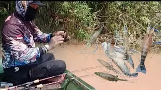Spot ini memang. Selalu banyak tarikan udang nya !!!. @ANGLERTATTOKALBAR #mancing #mancingudang