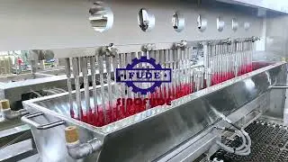 Quality Depositing Gummy Bear production line,CBD Pectin Gummies manufacturing process (US gummies)